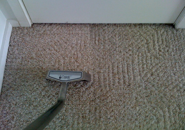 Photo of carpet cleaning in-progress showing contrast between soiled and clean carpet