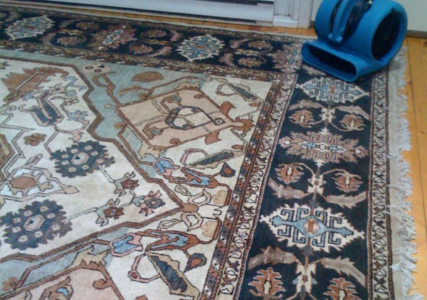 Photo of oriental-rug beig dried
